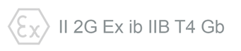 ex logo IIB